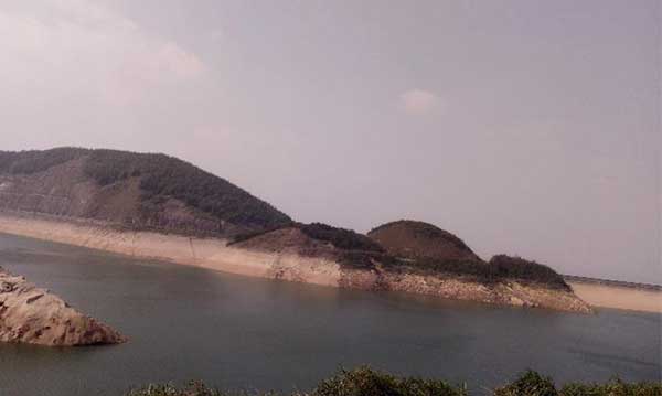 黑麋峰峰頂 綠樹蔥蔥，空氣都是甜的